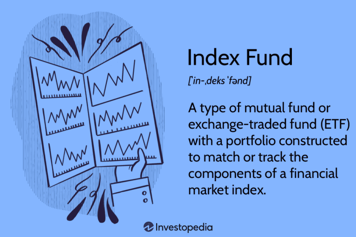 Index funds fund vanguard investment definition napkin finance mutual meaning liquidity bonds money investors
