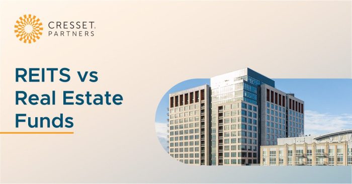 Reit fund