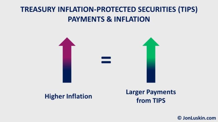 Treasury protected inflation securities tips